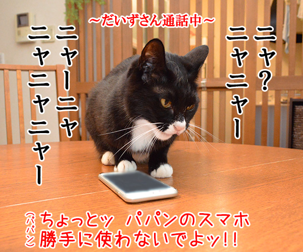 パパンのスマホで大事な話