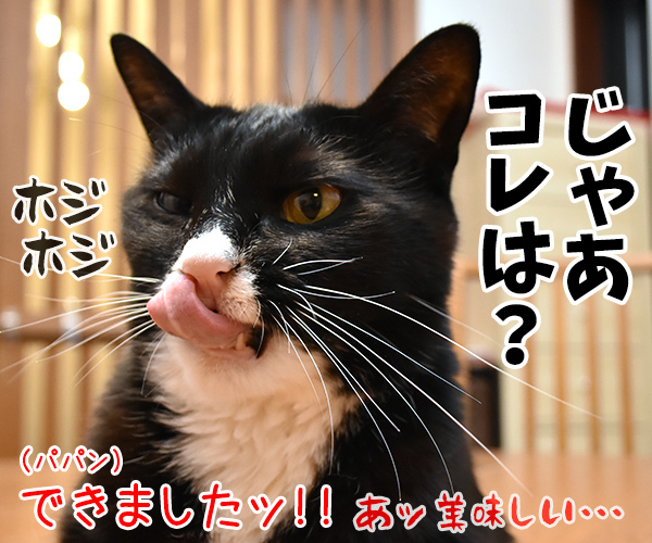 猫さんに弟子入りしてみたよ　其のニ　猫の写真で４コマ漫画　４コマ目ッ