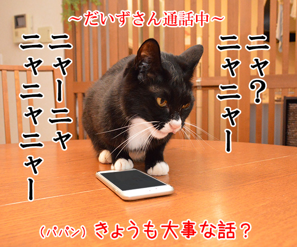 パパンのスマホで大事な話　其の二