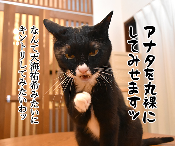 春ドラマのオススメは『緊急取調室』なのよッ　猫の写真で４コマ漫画　２コマ目ッ