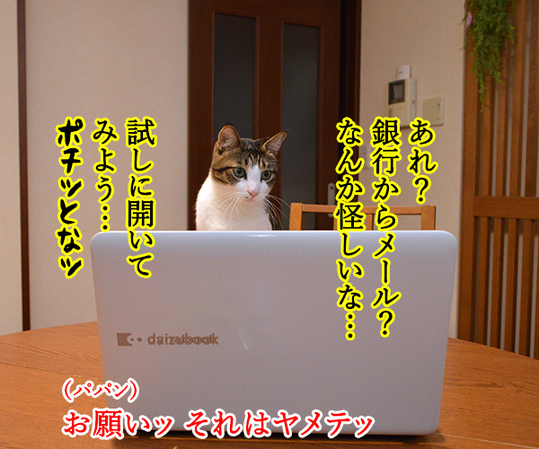 ウィスルによる大規模サイバー攻撃があったんですってッ　猫の写真で４コマ漫画　３コマ目ッ