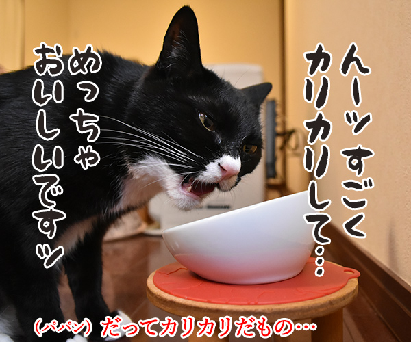 大食い系ユーチューバー 木下だいず　猫の写真で４コマ漫画　２コマ目ッ