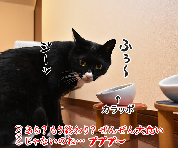 大食い系ユーチューバー 木下だいず　猫の写真で４コマ漫画　３コマ目ッ