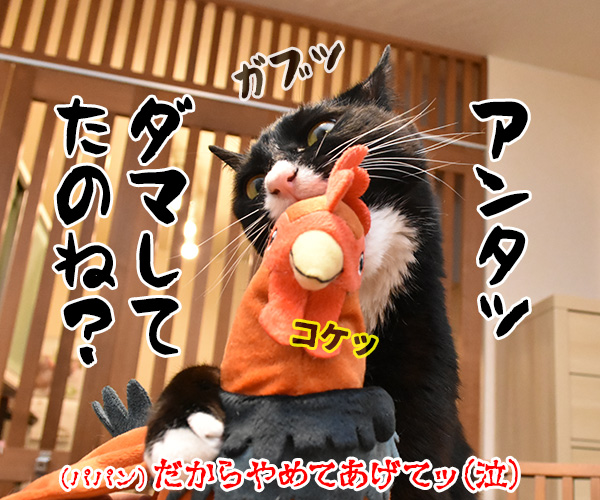 パパンは焼きとりの部位でどこが好き？　猫の写真で４コマ漫画　４コマ目ッ