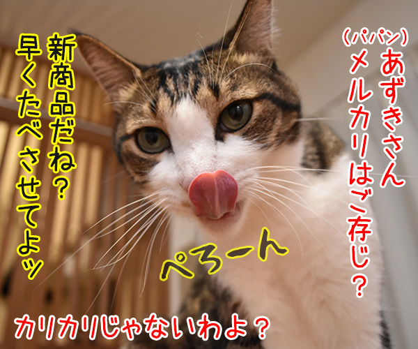 メルカリってご存知？　猫の写真で４コマ漫画　１コマ目ッ