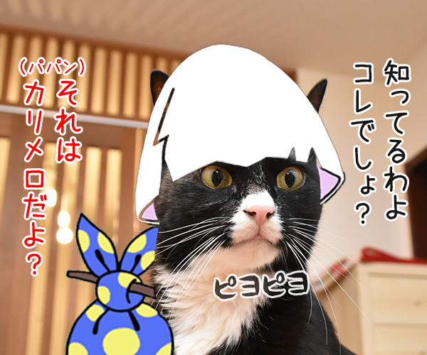 メルカリってご存知？　猫の写真で４コマ漫画　２コマ目ッ