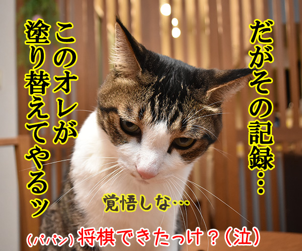 藤井聡太四段が前人未到の29連勝を達成したんですってッ 猫の写真で4コマ漫画 2コマ目ッ