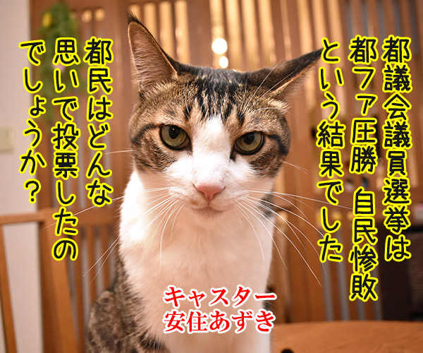 都議選は『都民ファーストの会』が圧勝！！自民は惨敗なんですってッ