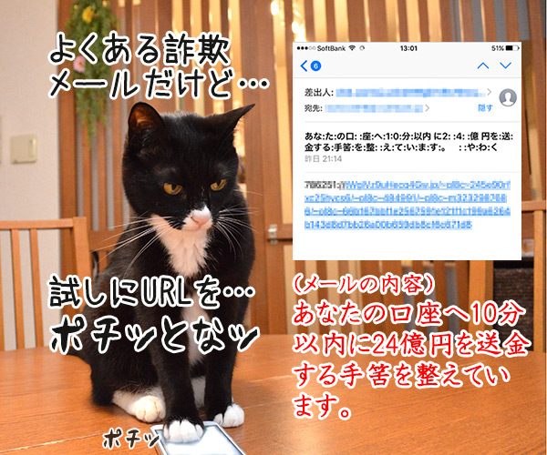 あなたの口座へ10分以内に24億円を送金する手筈を整えています。　猫の写真で４コマ漫画　１コマ目ッ