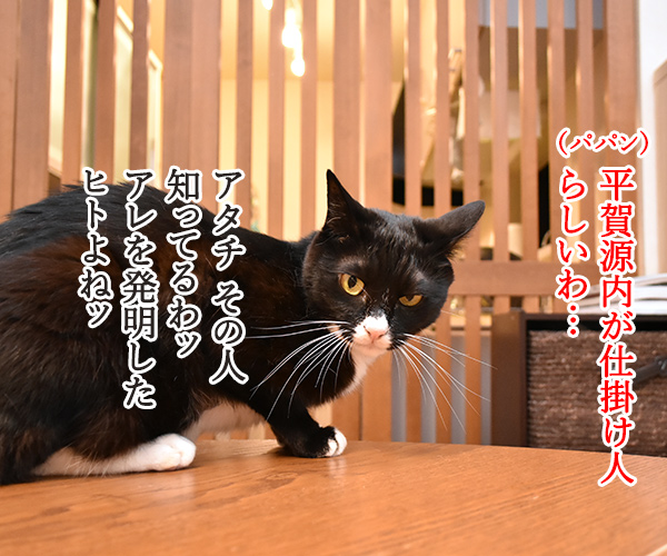 土用の丑の日とうなぎと平賀源内　猫の写真で４コマ漫画　３コマ目ッ