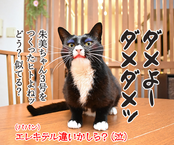 土用の丑の日とうなぎと平賀源内　猫の写真で４コマ漫画　４コマ目ッ