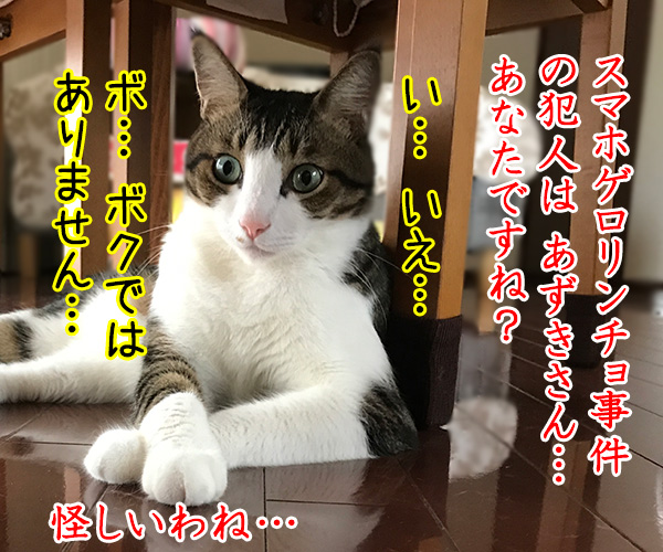 金田一パパンの事件簿 ～スマホゲロリンチョ事件～　猫の写真で４コマ漫画　２コマ目ッ