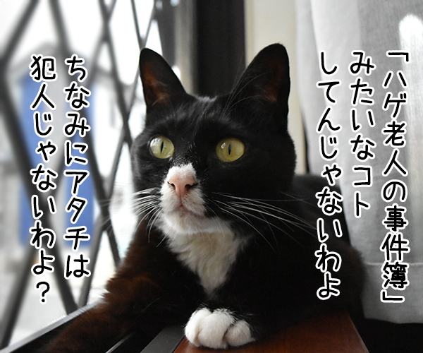 金田一パパンの事件簿 ～スマホゲロリンチョ事件～　猫の写真で４コマ漫画　３コマ目ッ