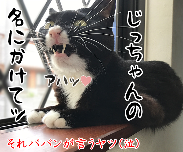 金田一パパンの事件簿 ～スマホゲロリンチョ事件～　猫の写真で４コマ漫画　４コマ目ッ