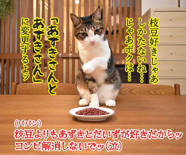 パパン 枝豆 大好き　猫の写真で４コマ漫画　４コマ目ッ