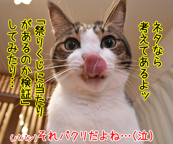 パパンがユーチューバー？　猫の写真で４コマ漫画　２コマ目ッ