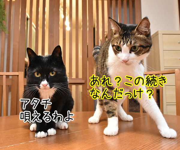 くちぶえふいてあきちへいったら　猫の写真で４コマ漫画　２コマ目ッ