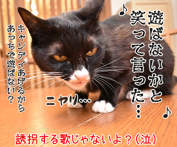 くちぶえふいてあきちへいったら　猫の写真で４コマ漫画　４コマ目ッ