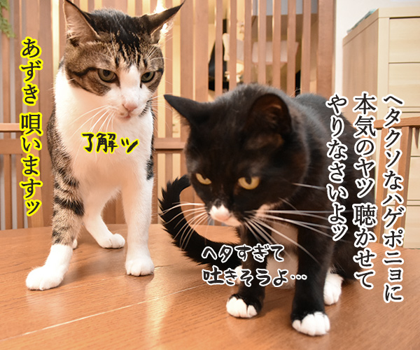 パパン 崖の上のポニョ 唄いますッ　猫の写真で４コマ漫画　３コマ目ッ