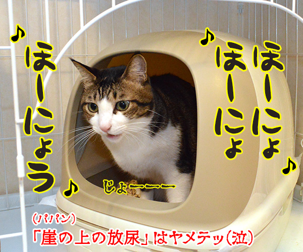 パパン 崖の上のポニョ 唄いますッ　猫の写真で４コマ漫画　４コマ目ッ