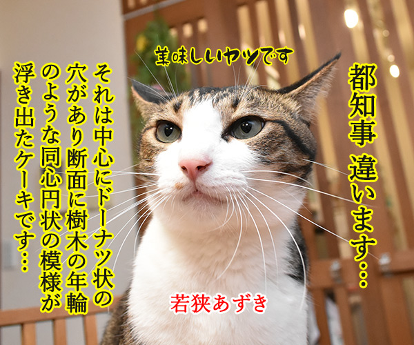 アウフヘーベン　意味は辞書で調べるのよッ　猫の写真で４コマ漫画　２コマ目ッ