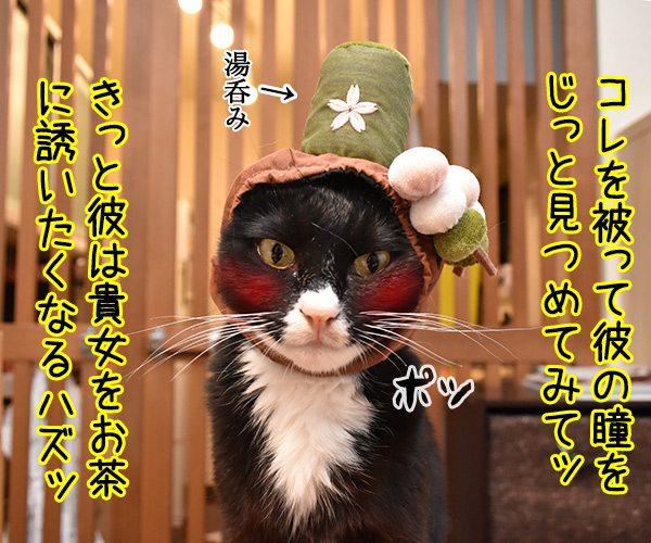 デートに誘って欲しい… 彼をその気にさせるアイテムとは？　猫の写真で４コマ漫画　２コマ目ッ