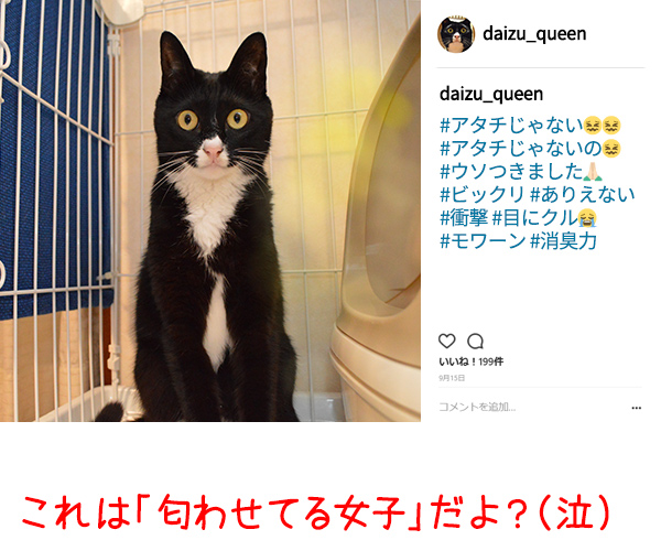 イケメン俳優の竹内涼真さんが匂わせで熱愛発覚なんですってッ　猫の写真で４コマ漫画　４コマ目ッ