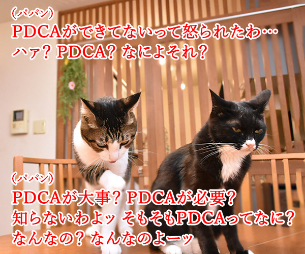 PDCAができてないって怒られたの