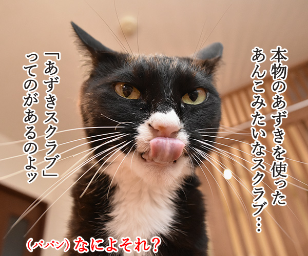 あずきを使ったスクラブがあるんですってッ　猫の写真で４コマ漫画　１コマ目ッ