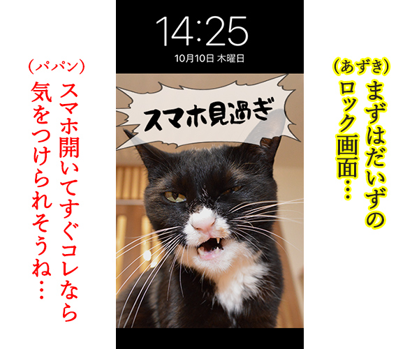 猫に叱られたい人のためのロック画面なのッ　猫の写真で４コマ漫画　２コマ目ッ