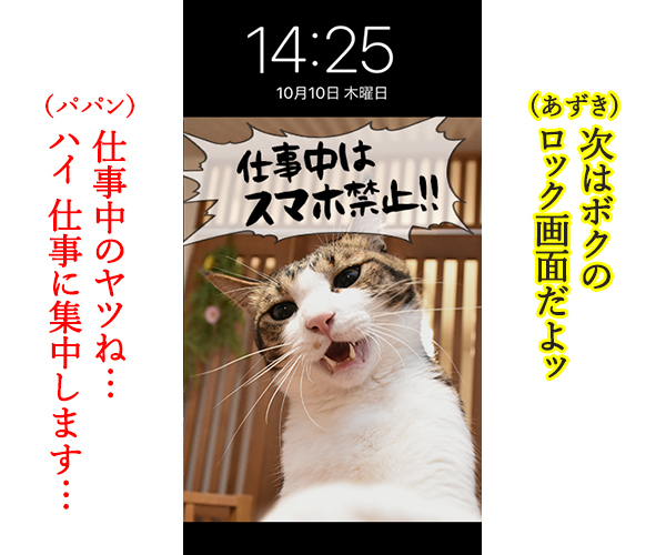 猫に叱られたい人のためのロック画面なのッ　猫の写真で４コマ漫画　３コマ目ッ