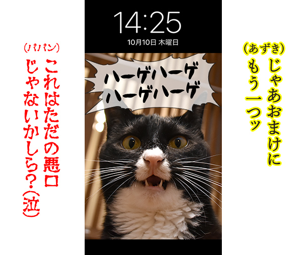 猫に叱られたい人のためのロック画面なのッ　猫の写真で４コマ漫画　４コマ目ッ