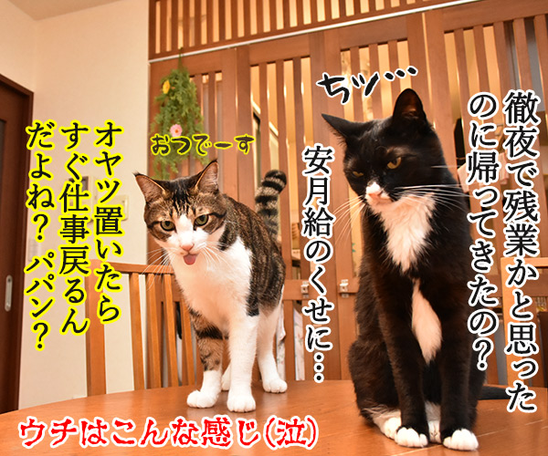 泣けちゃう漫画『おじさまと猫』って知ってる？　猫の写真で４コマ漫画　４コマ目ッ