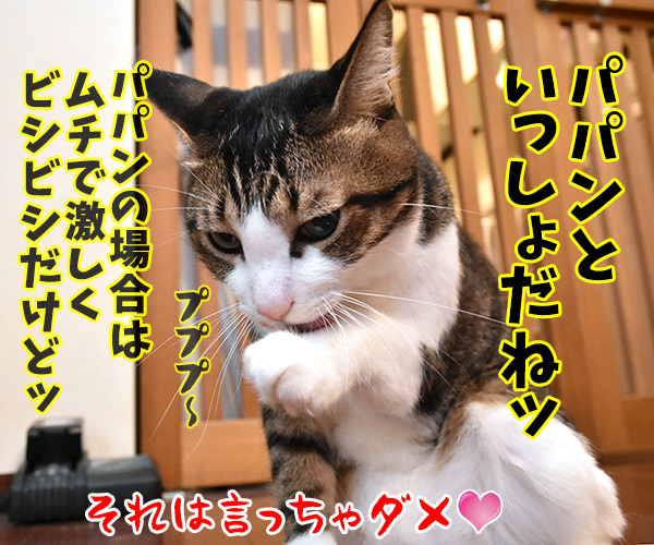 やさしく手の平でトントンなのッ　猫の写真で４コマ漫画　４コマ目ッ