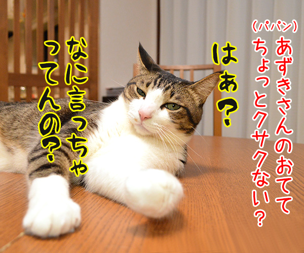 ちょっとおててクサクない？　猫の写真で４コマ漫画　１コマ目ッ