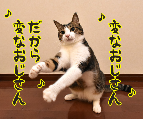 変なおじさん だから 変なおじさん ねこ写真４コマ あずきさんとだいずさん