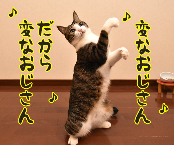 変なおじさん だから 変なおじさん　猫の写真で４コマ漫画　３コマ目ッ