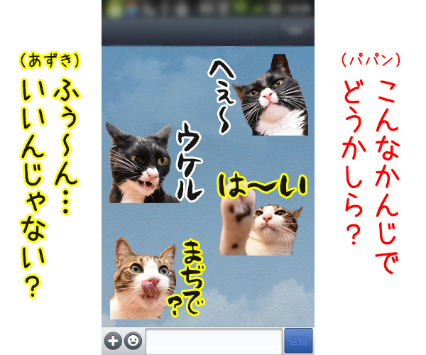 あずだいのLINEスタンプを作ろうと思うのッ　猫の写真で４コマ漫画　２コマ目ッ