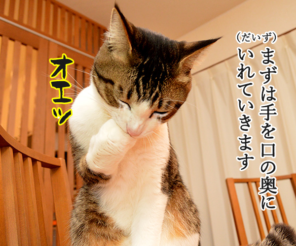 猫さんが誤飲してしまったら…？　猫の写真で４コマ漫画　２コマ目ッ