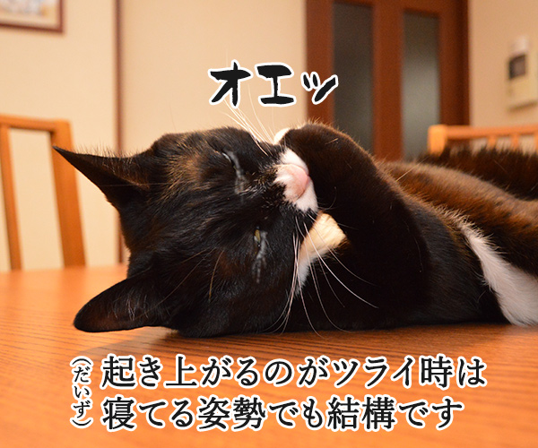 猫さんが誤飲してしまったら…？　猫の写真で４コマ漫画　３コマ目ッ