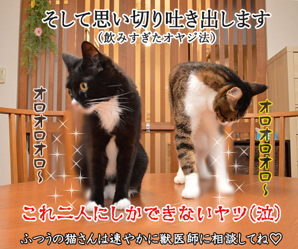 猫さんが誤飲してしまったら…？　猫の写真で４コマ漫画　４コマ目ッ