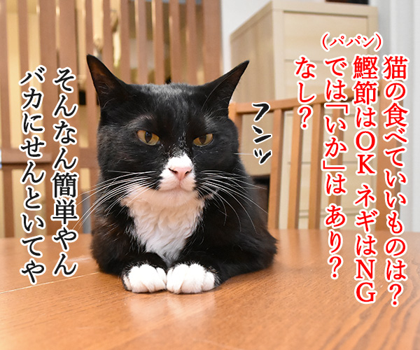 猫さんが食べていいものは？