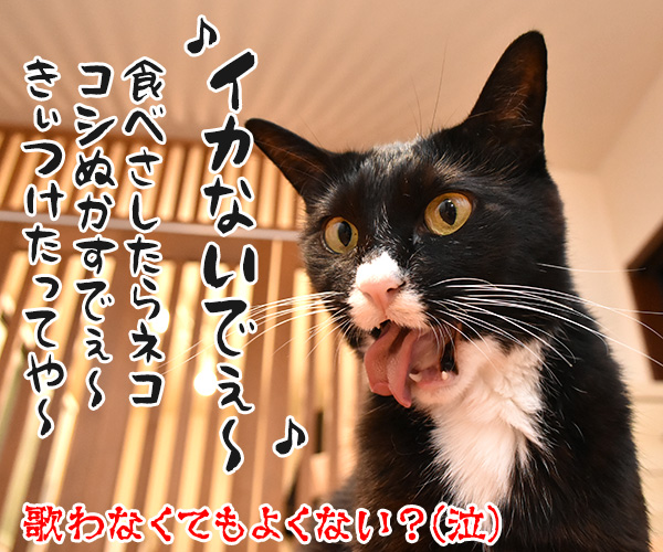 猫さんが食べていいものは？　猫の写真で４コマ漫画　４コマ目ッ