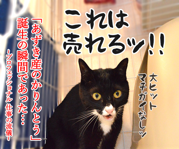 あと一歩だけ、前に進もう　猫の写真で４コマ漫画　４コマ目ッ