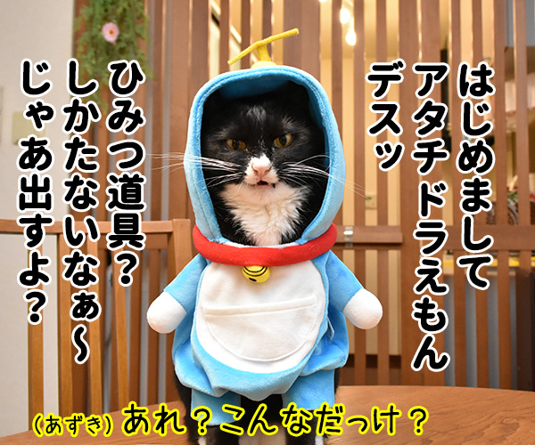 サンタがパパンちにやってきたッ　ねこの写真で４コマ漫画　３コマ目ッ