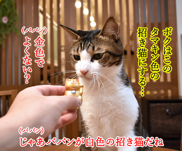 おみくじで2018年を占うのよッ　猫の写真で４コマ漫画　２コマ目ッ