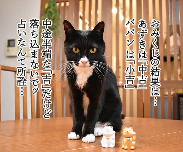 おみくじで2018年を占うのよッ　猫の写真で４コマ漫画　３コマ目ッ