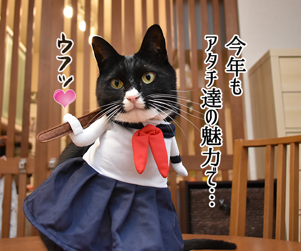 元旦だから新年のご挨拶なのよッ　猫の写真で４コマ漫画　３コマ目ッ