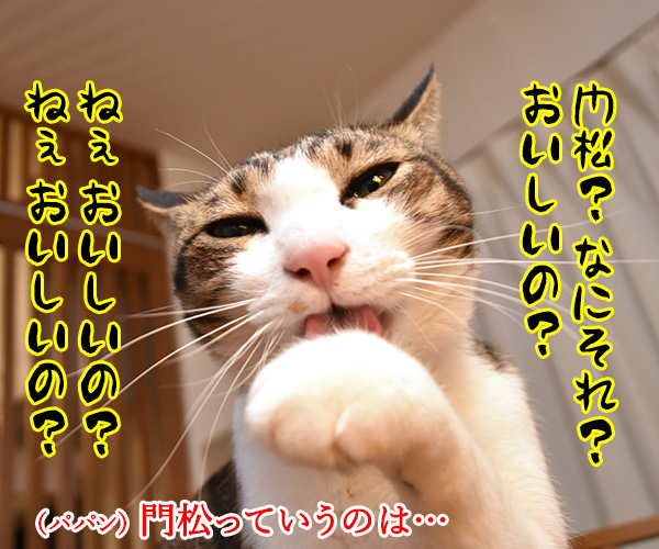 門松ってなんなのかしら？　猫の写真で４コマ漫画　２コマ目ッ