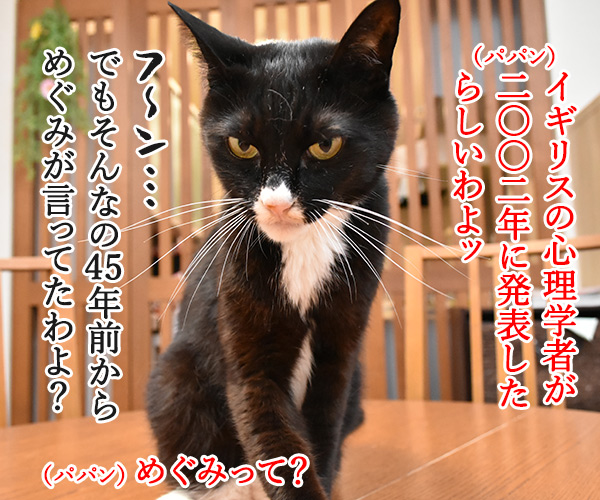 お宅の猫さんは右利き？それとも左利き？　猫の写真で４コマ漫画　３コマ目ッ